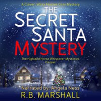 The_Secret_Santa_Mystery